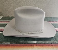 Stetson beaver silverbelly for sale  Fernley