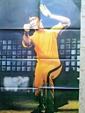 Bruce lee poster usato  Milano
