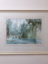 Water gardens signed for sale  DUNDEE