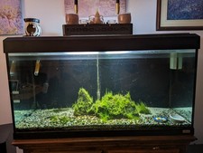 Fluval aquarium fish for sale  LONDON