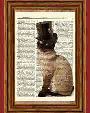 Steampunk siamese cat for sale  Hernando
