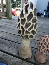 Vintage 13.5 inch for sale  Pekin