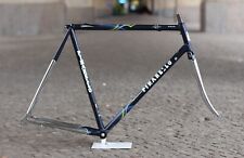 Pinarello stelvio frame gebraucht kaufen  Berlin