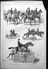 Old sketches horse for sale  UK