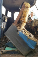 Seat rare hinged for sale  Langdon