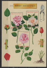 1999 congrès mondial d'occasion 1999 congrès mondial d'occasion  Marseille V