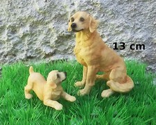 Magnifique maman chiot d'occasion  Pézenas