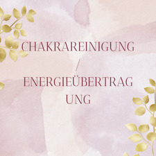 Chakrenreinigung lösung block gebraucht kaufen  Buschkämpen