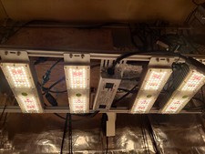 Growlightsystem tentyprox4 gro gebraucht kaufen  Sulzbach