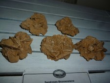 Sandrosen drusen bärbel gebraucht kaufen  Berlin