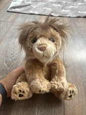 Born africa lion for sale Born africa lion for sale  WATFORD