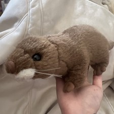 Dowman imports ferret for sale  ASHTON-UNDER-LYNE