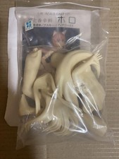 Kit holográfico de garagem Rakshasa Spice and Wolf #PF6WHP, usado comprar usado  Enviando para Brazil