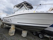 1993 robalo 2440 for sale  Lanoka Harbor