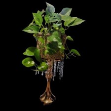 Exquisite flower vase for sale  Locust Grove
