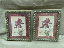 Red iris vivan for sale  Franklin Furnace