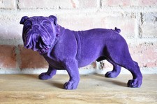 British bulldog purple for sale British bulldog purple for sale  SPALDING