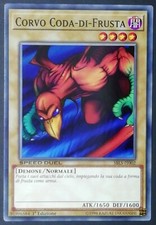 Corvo coda frusta usato Corvo coda frusta usato  Venezia