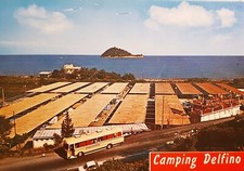 Cartolina camping delfino usato  Vimodrone