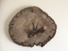 Legno quercia pietrificato usato  Torino