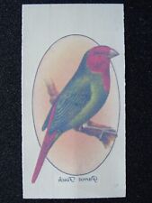 Parrot finch aviary for sale  UK