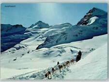 40127080 grindelwald polarschl gebraucht kaufen  Deutschland