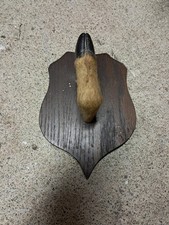 Patte cerf marron d'occasion  Riom-ès-Montagnes