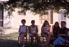 1973 female family for sale  Hiram