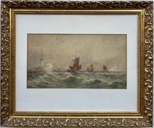 Thomas bush hardy for sale  HASSOCKS