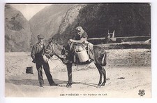 Cpa animal pyrenees d'occasion Cpa animal pyrenees d'occasion  Ménéac