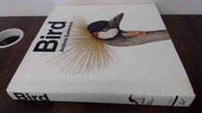 Bird for sale  Denver