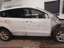 Driver front door for sale  Carnesville