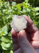 Datolite cut nodule for sale  Aumsville