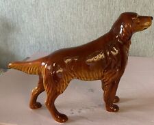 Dog irish red for sale  DERBY