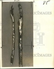 1971 press photo for sale  Memphis