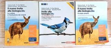 Nuovo invito alla usato  Fonte Nuova