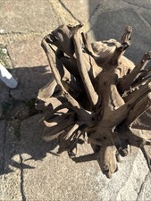 Bogwood aquarium fish for sale  BISHOP'S STORTFORD