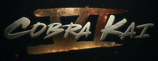 Cobra kai dvd usato  Bari