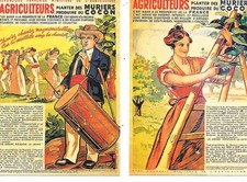 Cartes memoire soie d'occasion  Rosheim