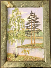 Birch trees pines for sale  Rego Park