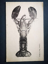Lobster king maine usato  Palestrina