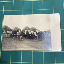 Antique rppc postcard for sale  Kansas City