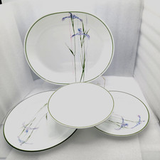 Corelle corning shadow for sale  Fort Myers