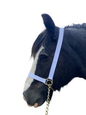 White show halter for sale  USK