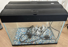 Aquarium glass fish for sale  BARKING