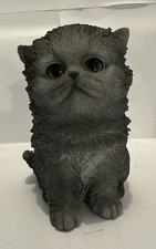 Gorgeous persian kitten for sale  GRIMSBY