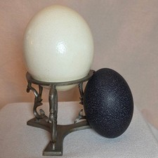 Set ostrich emu for sale  Saint Louis