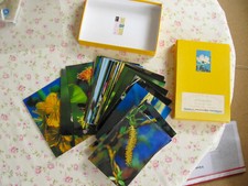 Wunderschönes fotoset bachbl� gebraucht kaufen  Erfurt