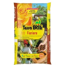 Terra brill fioriere usato  Italia