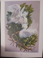 Art print for sale  Palatka